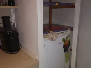 Prodej bytu 1+kk, Teplice, Alejní, 39 m2