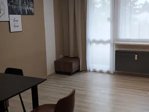 Pronájem bytu 2+kk, Zábřeh, Severovýchod, 36 m2