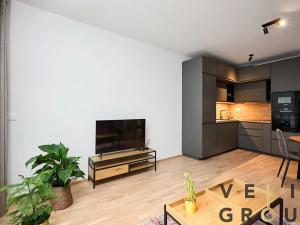 Pronájem bytu 2+kk, Praha - Karlín, Breitfeldova, 60 m2