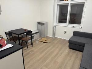 Pronájem bytu 2+kk, Praha - Vinohrady, Slezská, 40 m2