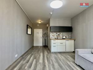 Pronájem bytu 1+kk, Praha - Střížkov, Děčínská, 24 m2