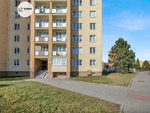 Prodej bytu 1+kk, Havířov, Lidická, 28 m2