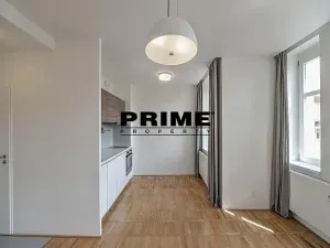 Pronájem bytu 1+kk, Praha - Vinohrady, Lucemburská, 30 m2