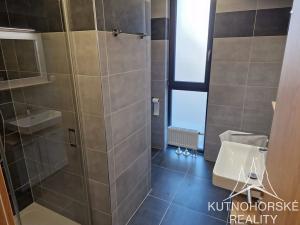 Pronájem bytu 1+kk, Kolín, Janovická, 30 m2