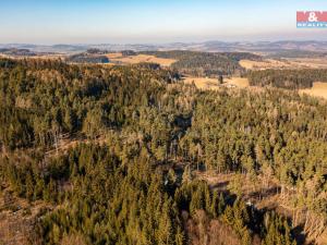 Prodej lesa, Čkyně - Onšovice, 7489 m2