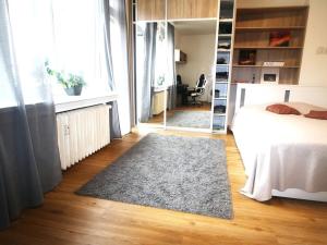 Pronájem bytu 1+kk, Praha - Nové Město, Na zbořenci, 37 m2