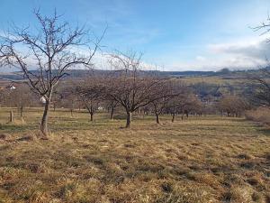 Prodej zahrady, Bojkovice, 2785 m2