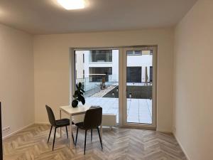 Pronájem bytu 1+kk, Brno, Cejl, 30 m2