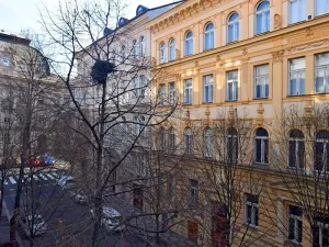 Pronájem bytu 3+1, Praha - Vinohrady, Balbínova, 92 m2