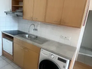 Pronájem bytu 2+kk, Praha - Nusle, Plamínkové, 40 m2