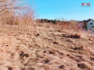 Prodej zahrady, Doksy, 2207 m2