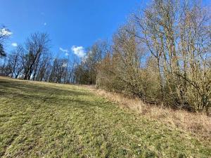 Prodej louky, Havlovice, 2200 m2