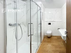 Pronájem bytu 2+kk, Teplice, Novoveská, 54 m2