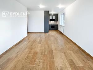Pronájem bytu 2+kk, Teplice, Novoveská, 54 m2
