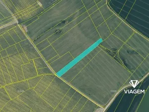 Prodej podílu pole, Vysoká, 1978 m2