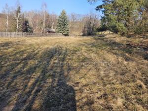 Prodej louky, Lipová - Seč, 668 m2