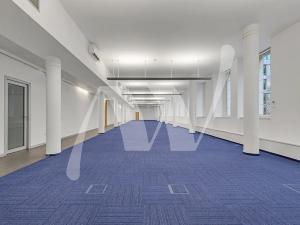 Pronájem kanceláře, Praha - Karlín, Křižíkova, 451 m2