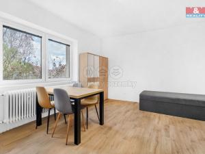 Pronájem bytu 1+kk, Plazy, 23 m2