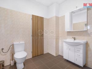 Pronájem bytu 1+kk, Plazy, 23 m2