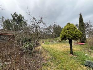 Prodej rodinného domu, Lipovec, 82 m2