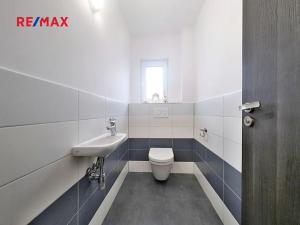 Prodej rodinného domu, Veltrusy, Kaštanová, 113 m2