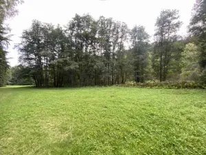 Dražba louky, Úterý, 7600 m2