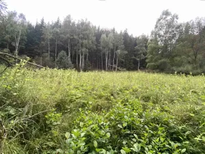Dražba louky, Úterý, 7600 m2