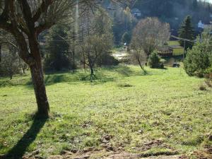 Prodej pozemku, Bělá nad Svitavou, 921 m2