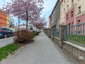 Prodej bytu 2+kk, Plzeň, Edvarda Beneše, 59 m2