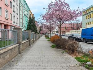 Prodej bytu 2+kk, Plzeň, Edvarda Beneše, 59 m2