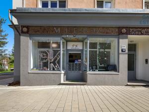 Prodej obchodního prostoru, Holešov, U Letiště, 55 m2