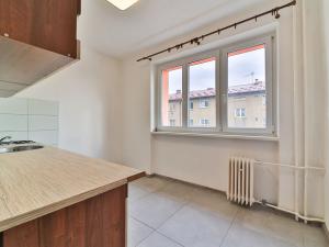 Pronájem bytu 1+1, Habartov, Raisova, 35 m2