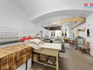 Prodej restaurace, Děčín - Děčín IV-Podmokly, Teplická, 1000 m2