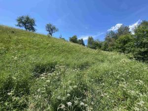 Prodej pozemku, Hartmanice, 9140 m2