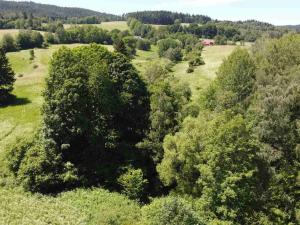 Prodej pozemku, Hartmanice, 9140 m2