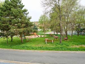 Prodej vinného sklepa, Šardice, 196 m2