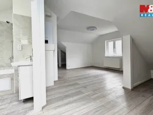 Prodej činžovního domu, Nejdek, Chodovská, 245 m2