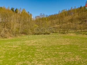 Prodej zahrady, Třebušín - Řepčice, 2841 m2
