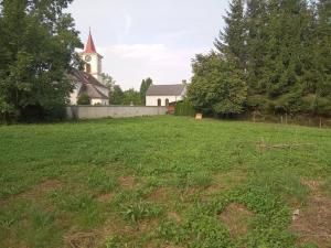 Prodej zemědělské usedlosti, Sezemice, 200 m2