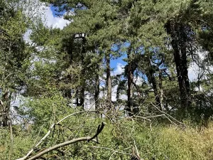 Prodej pozemku, Toužim, 3798 m2