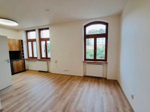 Pronájem bytu 1+kk, Praha - Podolí, Sinkulova, 31 m2