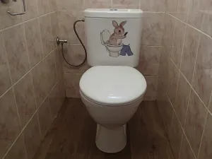 Prodej rodinného domu, Hlinsko, 77 m2