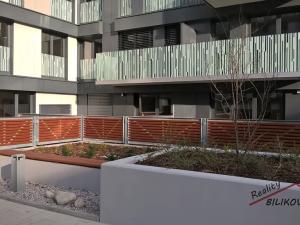 Pronájem bytu 1+kk, Praha - Žižkov, Olšanská, 34 m2
