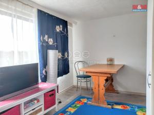 Prodej chaty, Kraslice - Hraničná, 20 m2