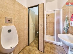Prodej výrobních prostor, Dubenec, 453 m2