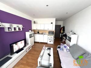 Pronájem bytu 1+kk, Plzeň, Staniční, 25 m2