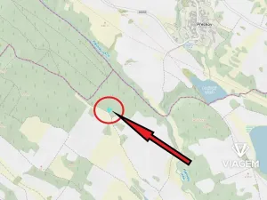 Prodej lesa, Trnava, 797 m2