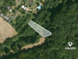 Prodej lesa, Obora, 475 m2