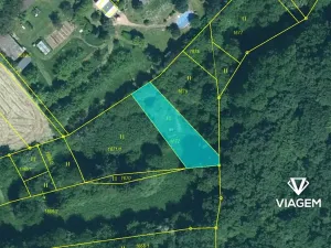 Prodej lesa, Obora, 475 m2