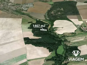 Prodej lesa, Břežany, 1849 m2
